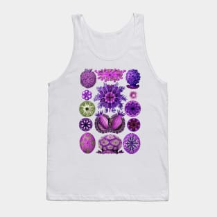 Ernst Haeckel Ascidiae Sea Squirts  Purple Tank Top